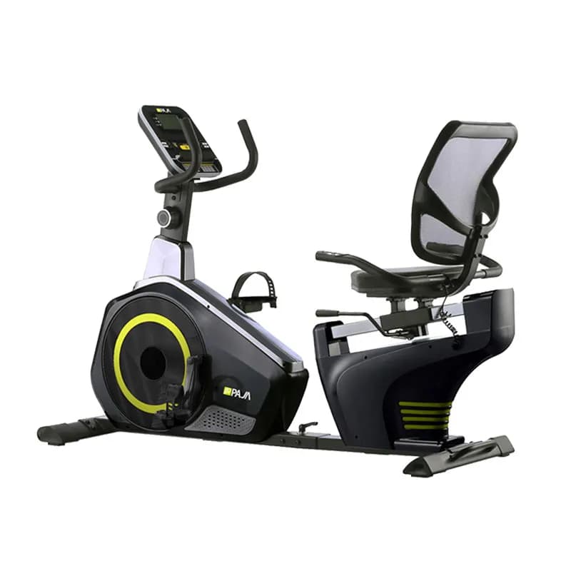 دوچرخه ثابت خانگی مبله پاژا PAJA YK-10M09R