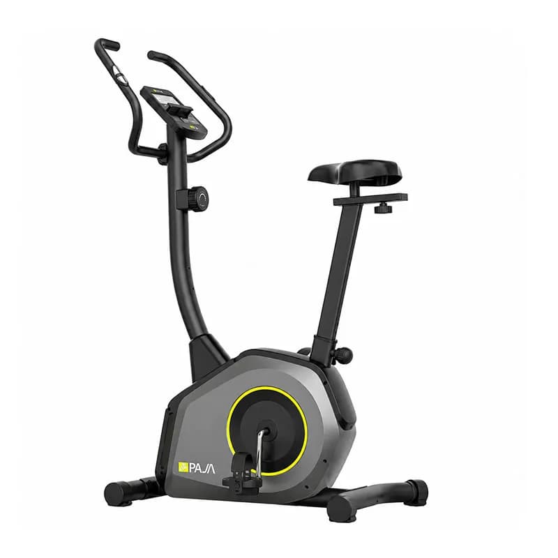 دوچرخه ثابت خانگی ایستاده پاژا PAJA YK-10S16B