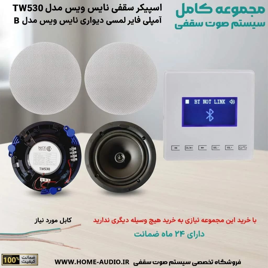 مجموعه اسپیکر سقفی نایس ویس TW530 + آمپلی فایر مدل B