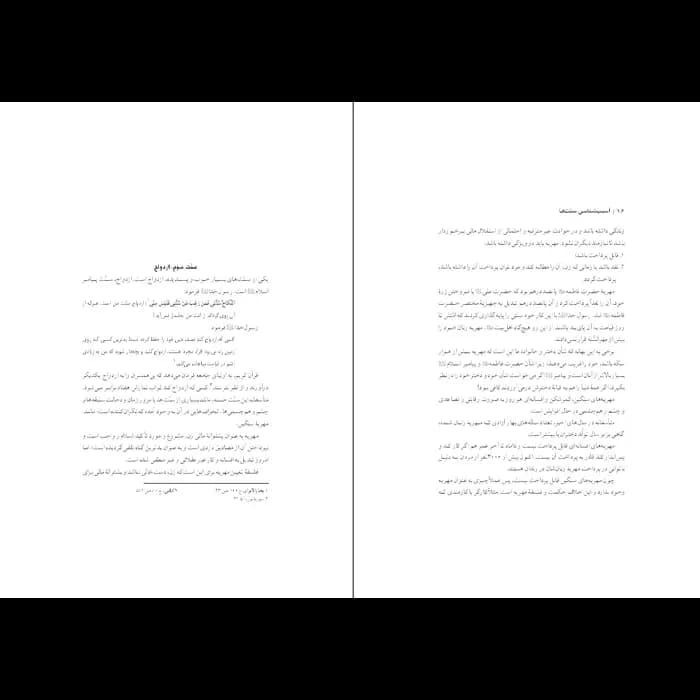 کتاب آسیب شناسی سنت ها — تصویر ۷