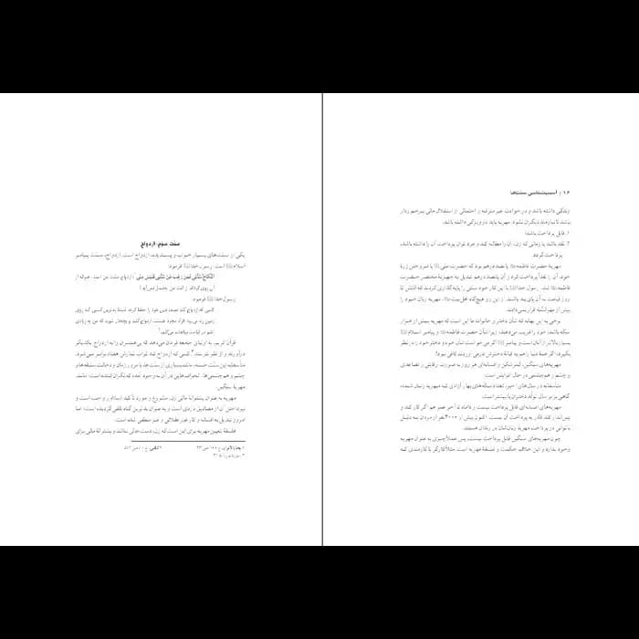 کتاب آسیب شناسی سنت ها — تصویر ۲
