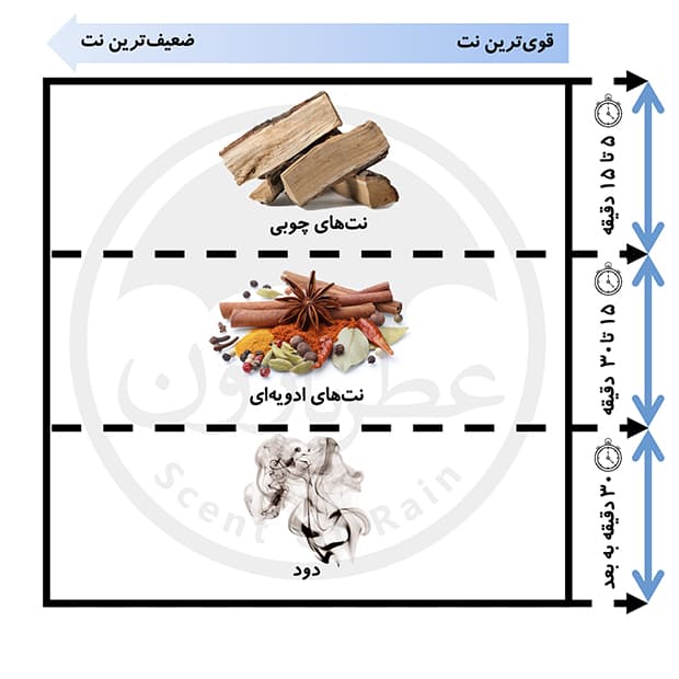 تستر ادوتویلت مردانه بورلی هیلز پولو کلاب اسپرت شماره 8 حجم 100میلی‌لیتر — تصویر ۲