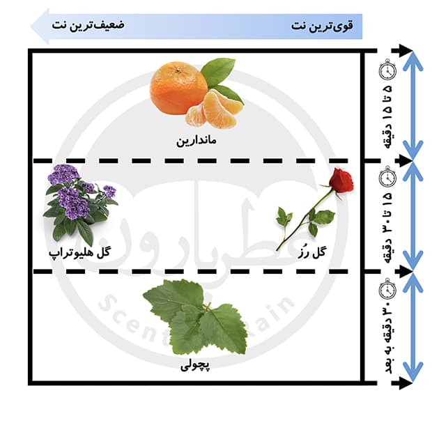 ادوپرفیوم زنانه موبوسین پرامیس می حجم 90 میلی‌لیتر — تصویر ۵