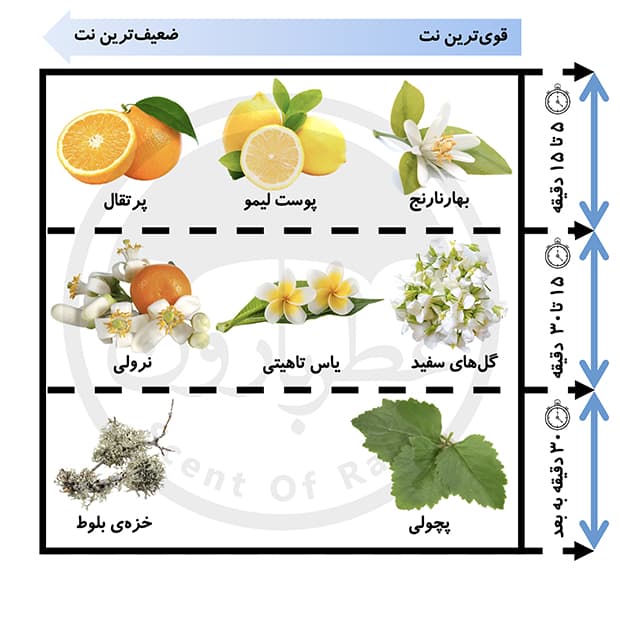 تستر ادوپرفیوم زنانه بورلی هیلز پولو کلاب میستیک حجم ۱۰۰ میلیلیتر — تصویر ۲