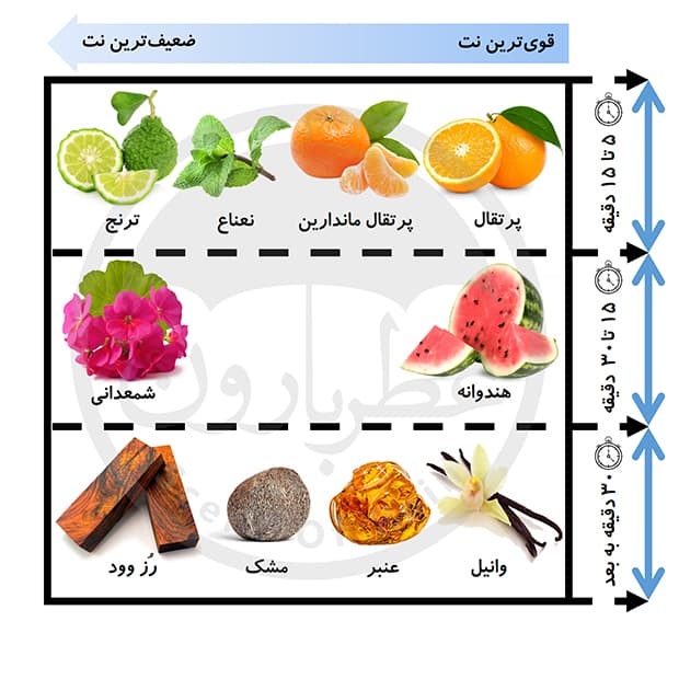 ادوتویلت مردانه فرانک اولیویر سان جاوا حجم 75 میلیلیتر — تصویر ۵