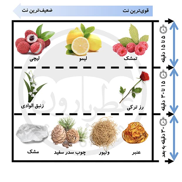ادوپرفیوم زنانه فرانک اولیویر بلا حجم 75 میلیلیتر — تصویر ۵