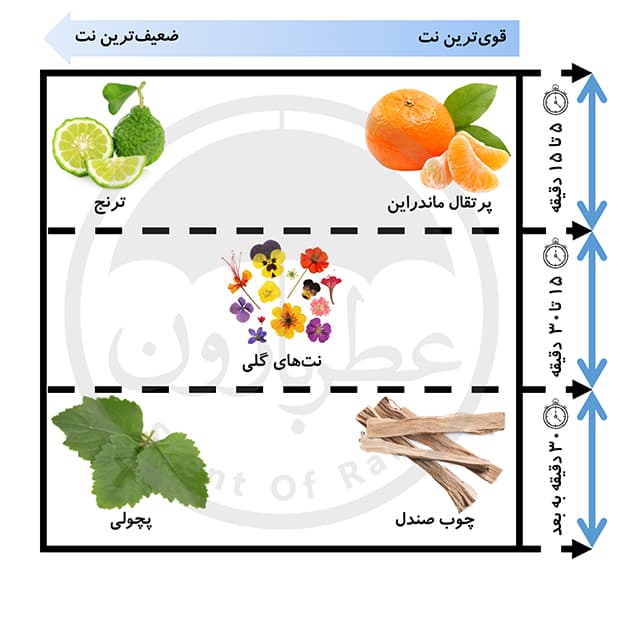 تستر ادوپرفیوم مردانه مارک جوزف دیپ سنس اسپرت حجم 100 میلی‌لیتر — تصویر ۲