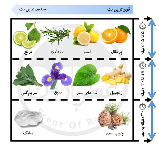 ادوتویلت مردانه پینو سیلوستره آکوا دی پینو کلن حجم 125 میلیلیتر — تصویر ۵