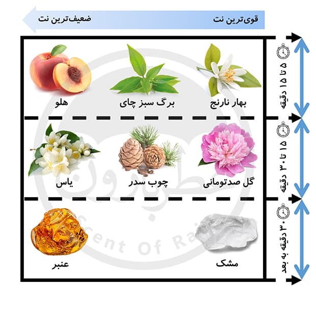 ادوتویلت زنانه عمادآرا ایگنایت فم حجم 30 میلی‌لیتر — تصویر ۶