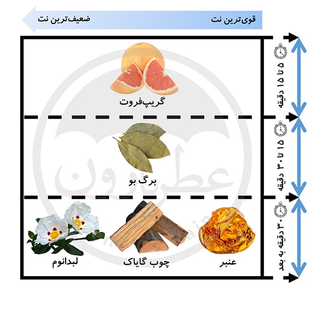 ادوپرفیوم مردانه دریم سنت تیل حجم 35 میلی‌لیتر — تصویر ۲