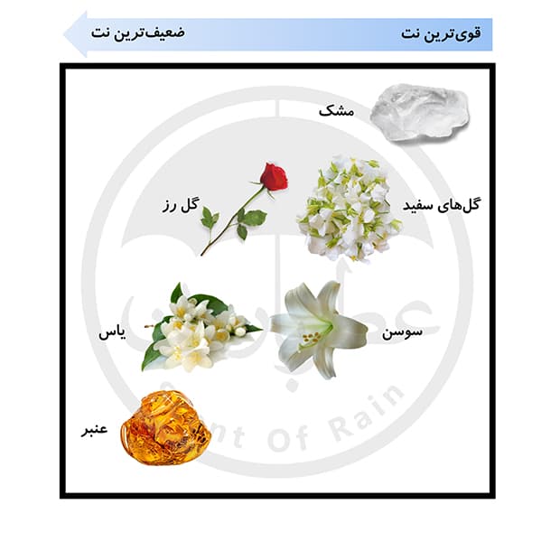 تستر ادوپرفیوم زنانه یودی‌وی چیک ایسیم حجم 75 میلی‌لیتر — تصویر ۲