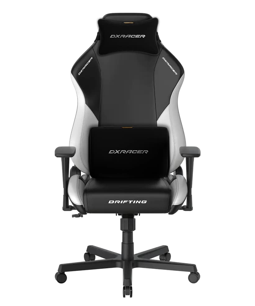 صندلی گیمینگ دی ایکس ریسر Drifting Series 2025 L Black White — تصویر ۵