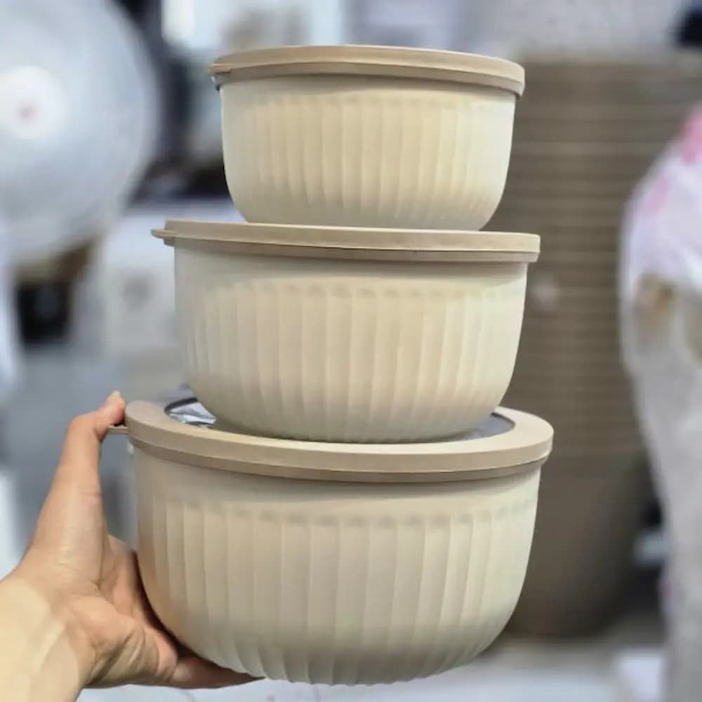 ظرف نگهدارنده فریزری پاستیلی دلوین 3 تایی — تصویر ۳