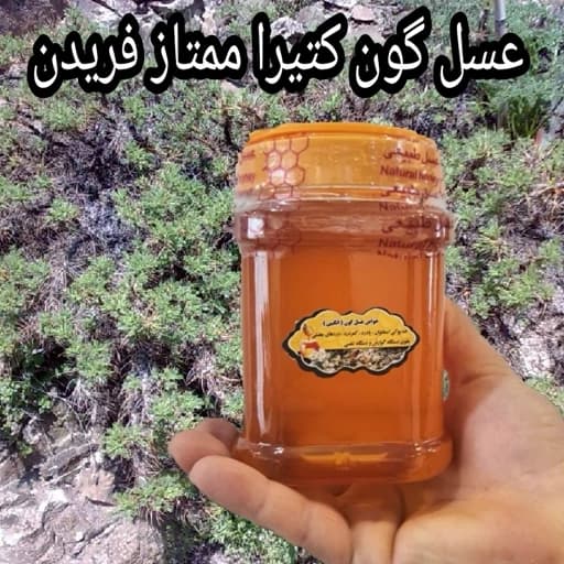 عسل گون کتیرا(گون زرد) 1کیلویی دشتی اصل(ارسال رایگان با خرید 2 م از غرفه)