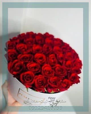 ارسال گل طبیعی برای شهرداری منطقه 15 تهران