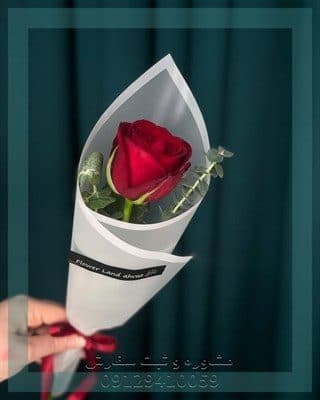 ارسال گل طبیعی برای اداره کل حریم شهرداری تهران — تصویر ۲
