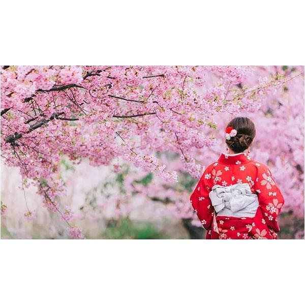 لوسیون بدن بث اند بادی ورکس JAPANESE CHERRY BLOSSOM حجم 236 میل — تصویر ۳