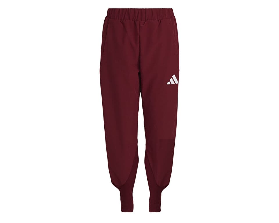Adidas Turkiye P Pnt W Training Pants