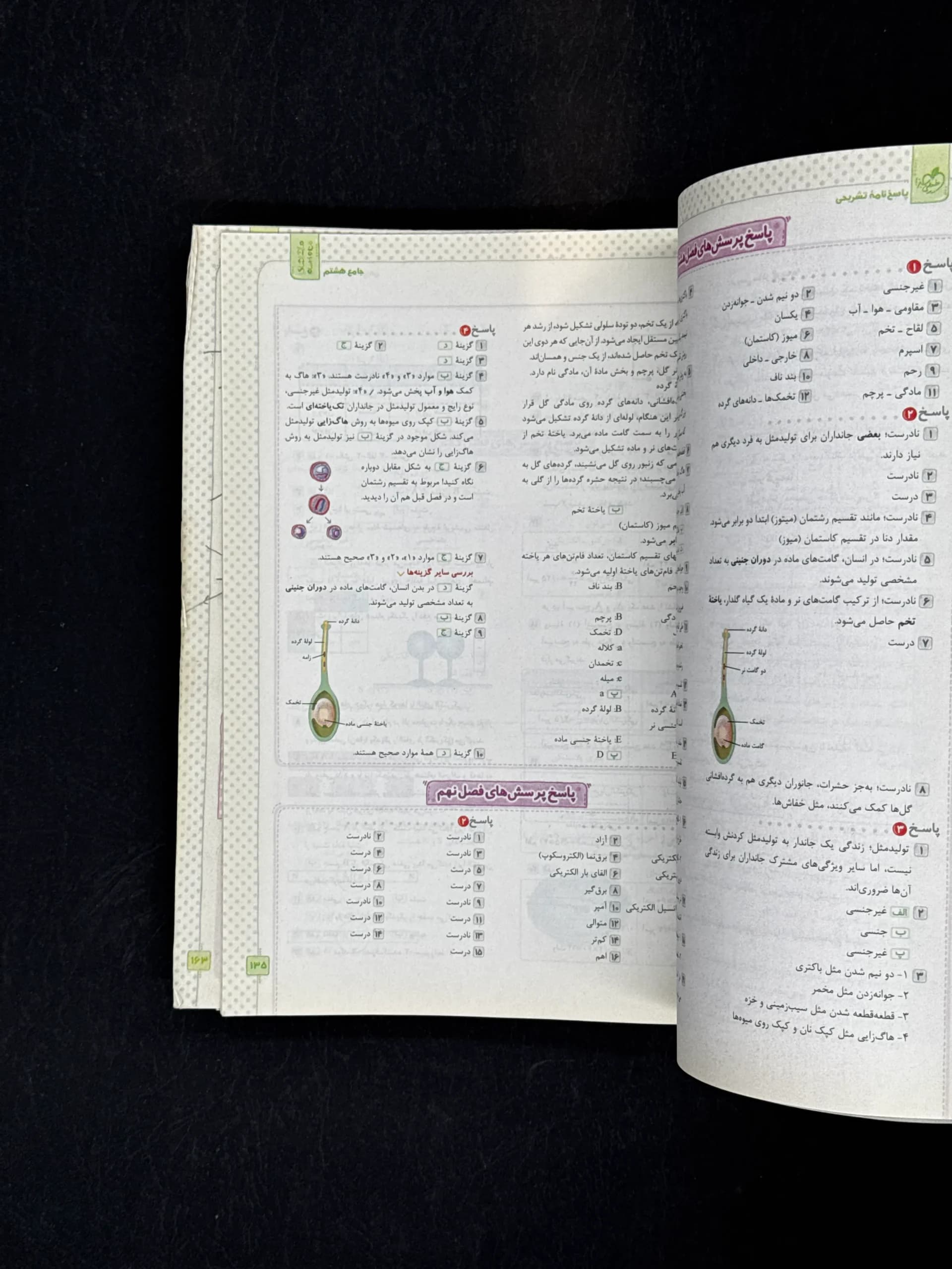 کتاب ماجراهای من و درسام جامع هشتم برای 20 گرفتن خیلی سبز — تصویر ۷