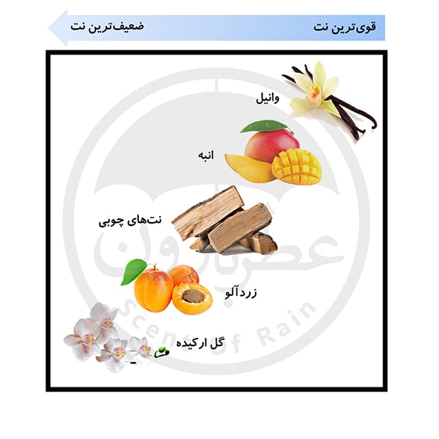 ادوپرفیوم زنانه یودیوی مینی وانیل حجم 25 میلیلیتر — تصویر ۴