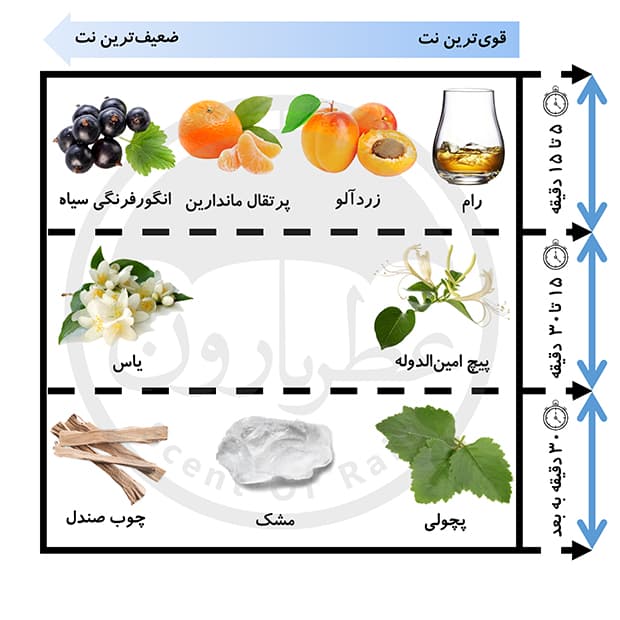 تستر ادوپرفیوم زنانه یودی‌وی مینی دریم حجم 25 میلی‌لیتر — تصویر ۴