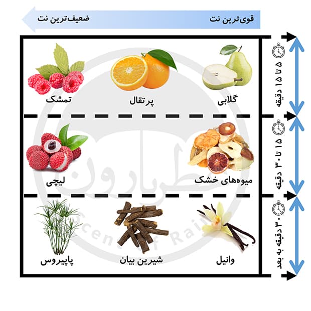 تستر ادوپرفیوم زنانه ورسای تزورو حجم 75 میلی‌لیتر — تصویر ۴