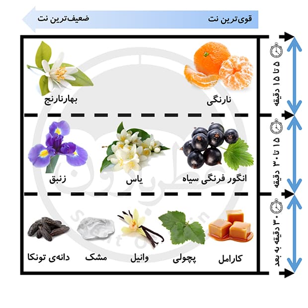 تستر ادوپرفیوم زنانه ورسای لاوبل حجم 75 میلی‌لیتر — تصویر ۴