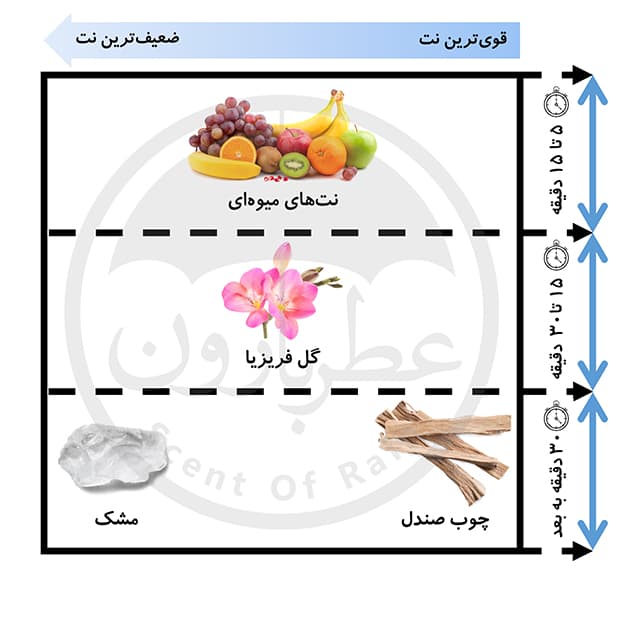 اسپری زنانه هانکا شی ایز فان حجم 200 میلی‌لیتر — تصویر ۴