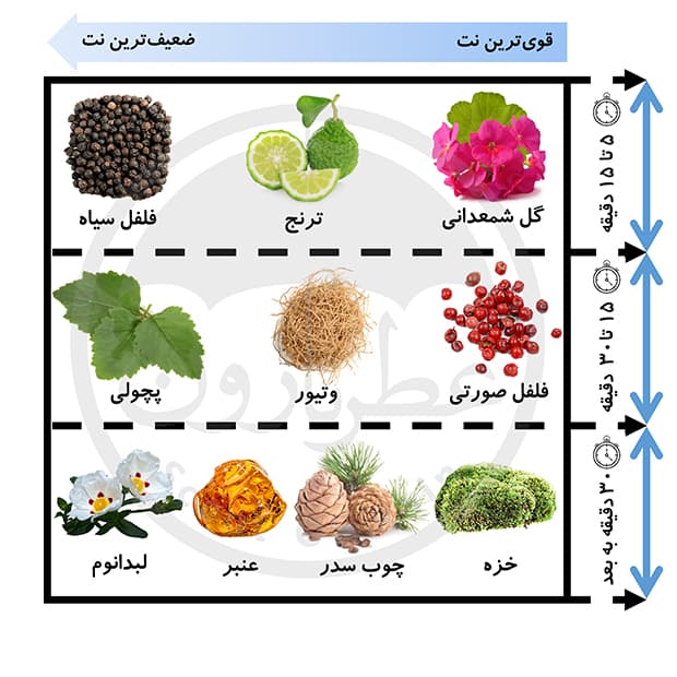 تستر ادوپرفیوم مردانه ورسای فروکس حجم 75 میلی‌لیتر — تصویر ۴
