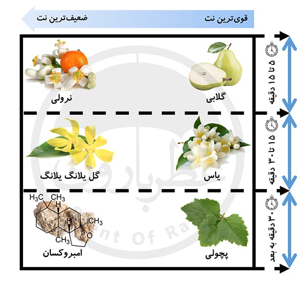 ادوپرفیوم زنانه ورسای سموآ لالالند حجم 100 میلی‌لیتر — تصویر ۲