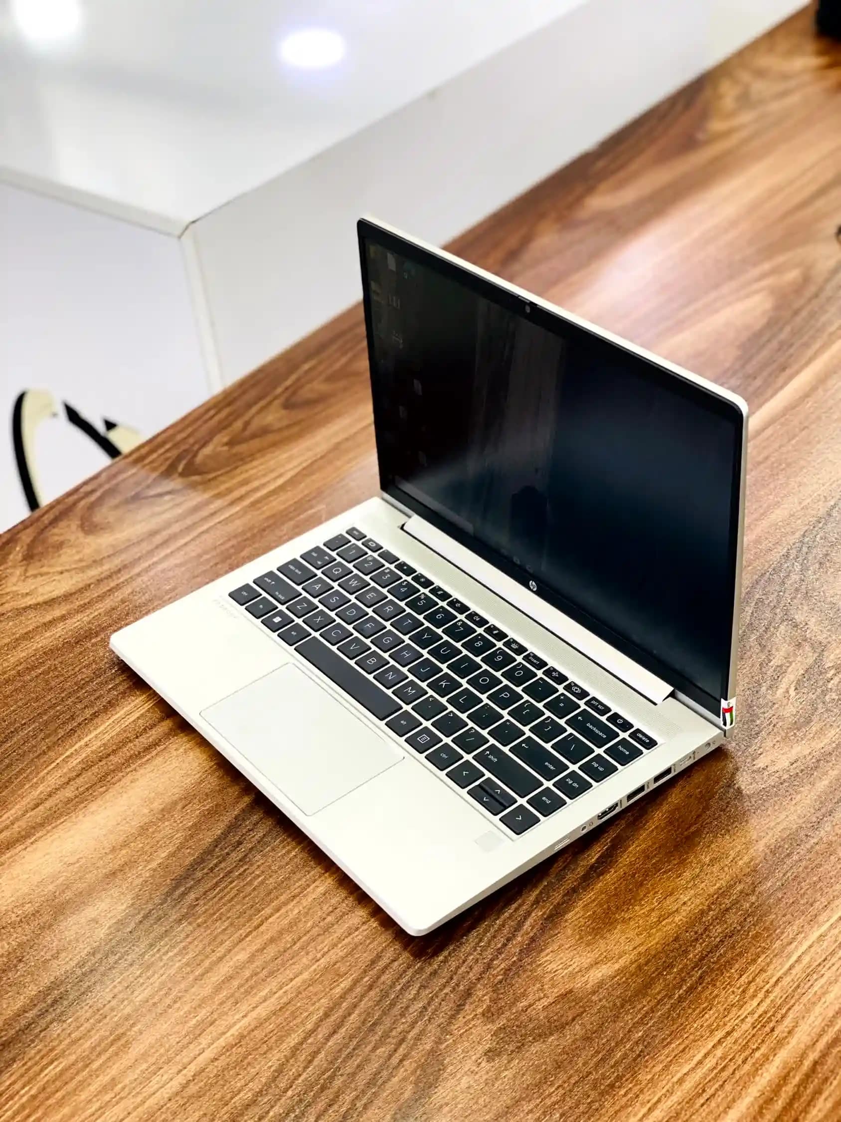 لپ تاپ hp probook 445 g9 مشخصات ryzen 7 | 8gb | 256ssd — تصویر ۱۰