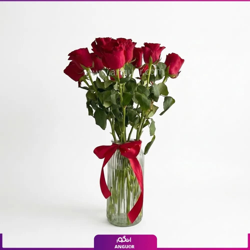 جار گل رز قرمز 10 شاخه — تصویر ۲