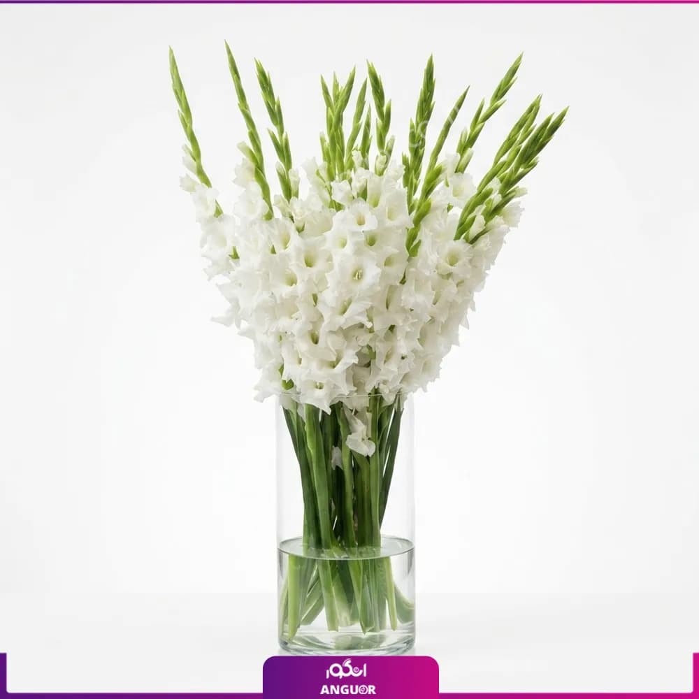 جار گل گلایول سفید