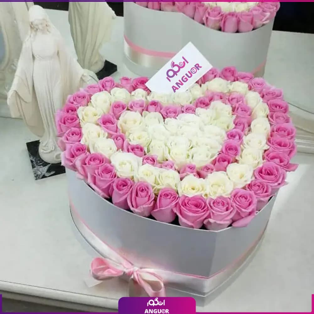 باکس گل رز صورتی – سفید 101 شاخه ای