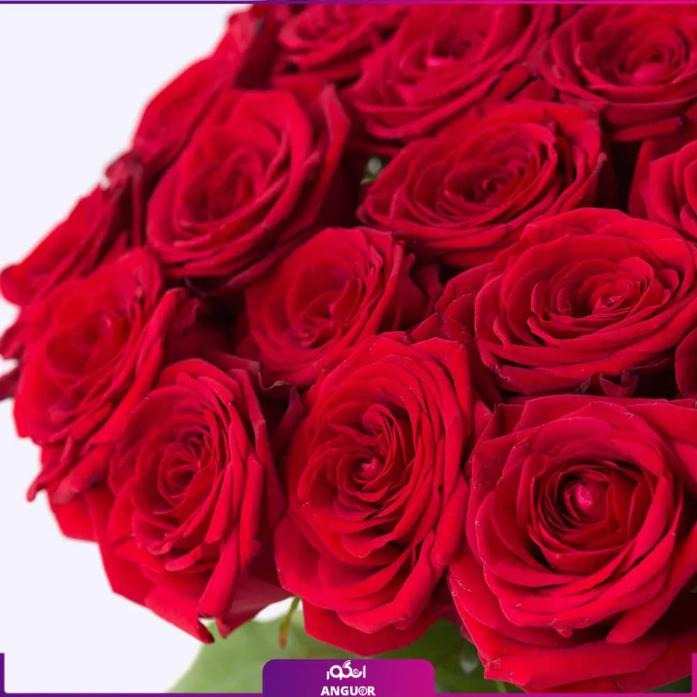 دسته گل رز قرمز 50 شاخه همراه با گلدان شیشه ای — تصویر ۳