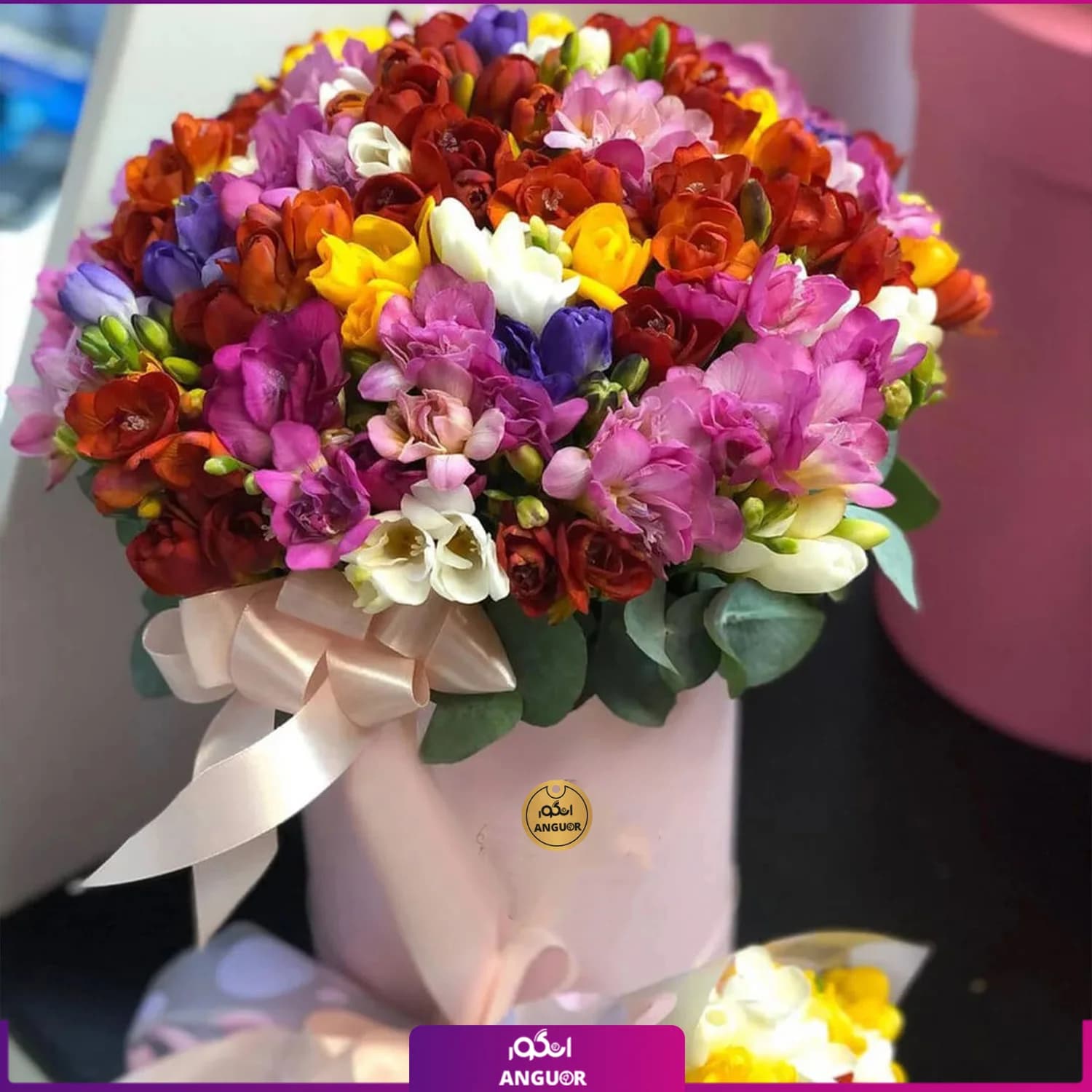 باکس گل فرزیا 50 شاخه ای رنگارنگ