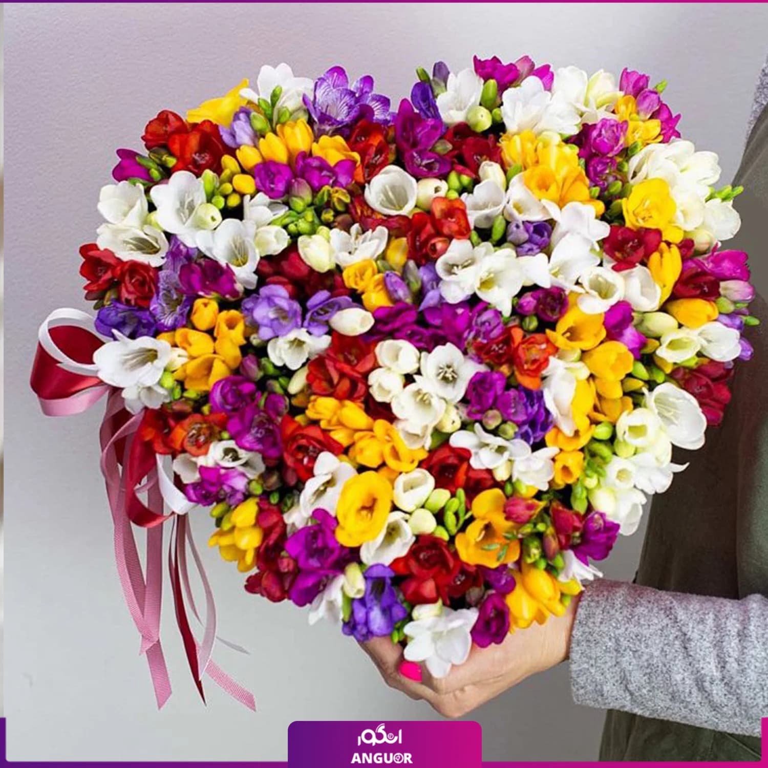 باکس گل فرزیا 85 شاخه ای رنگارنگ