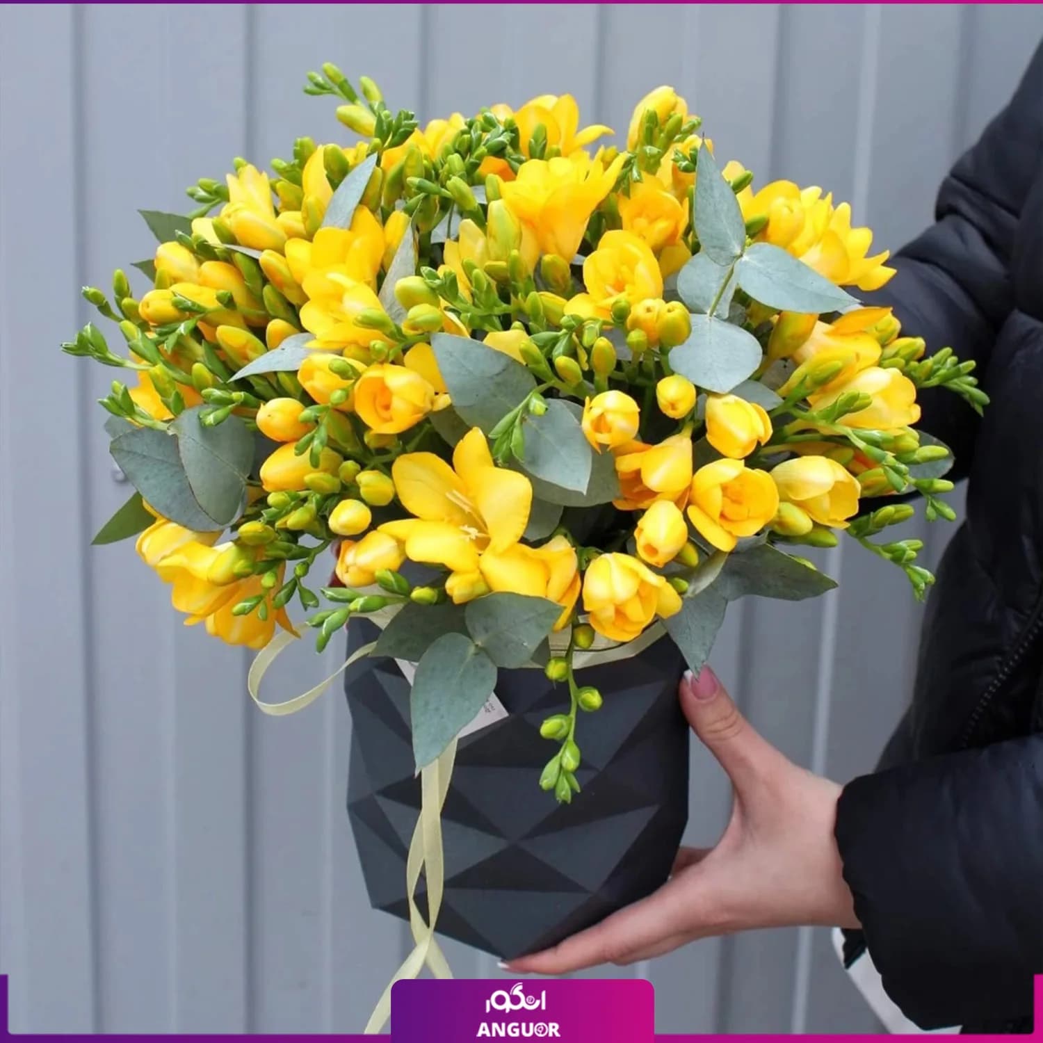 باکس گل فرزیا 16 شاخه ای زرد