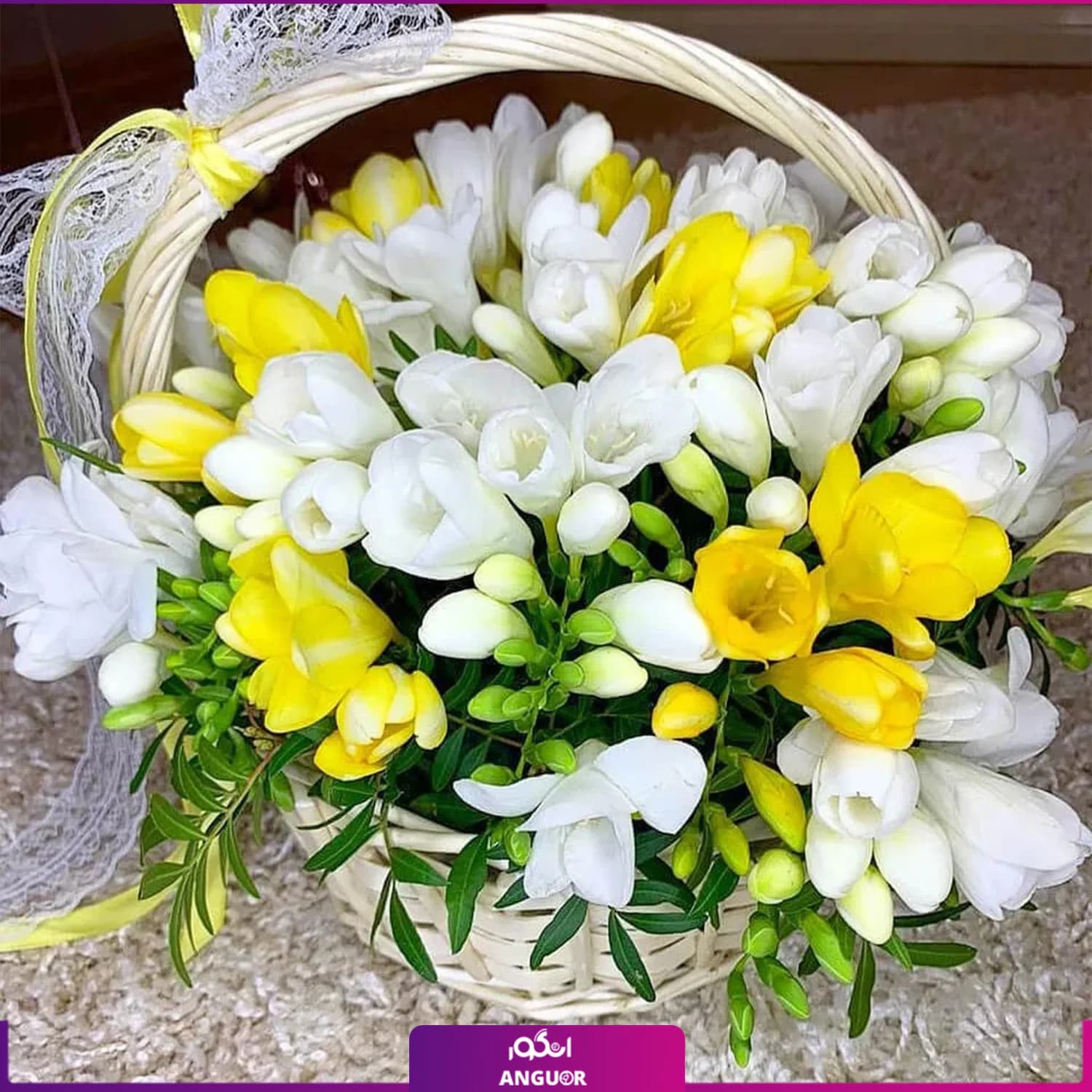 سبد گل فرزیا 17 شاخه ای (زرد – سفید)