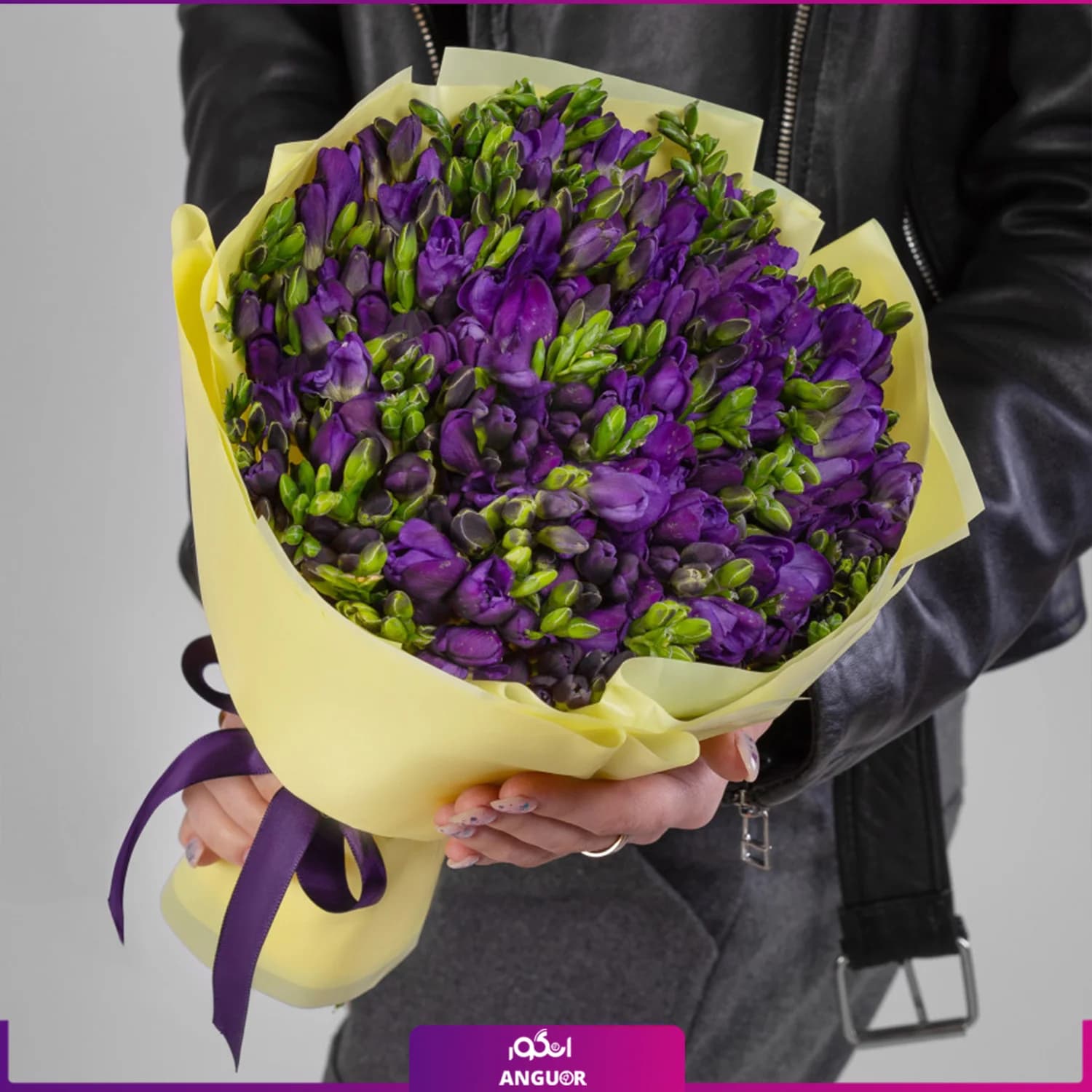 دسته گل فرزیا بنفش 48 شاخه ای
