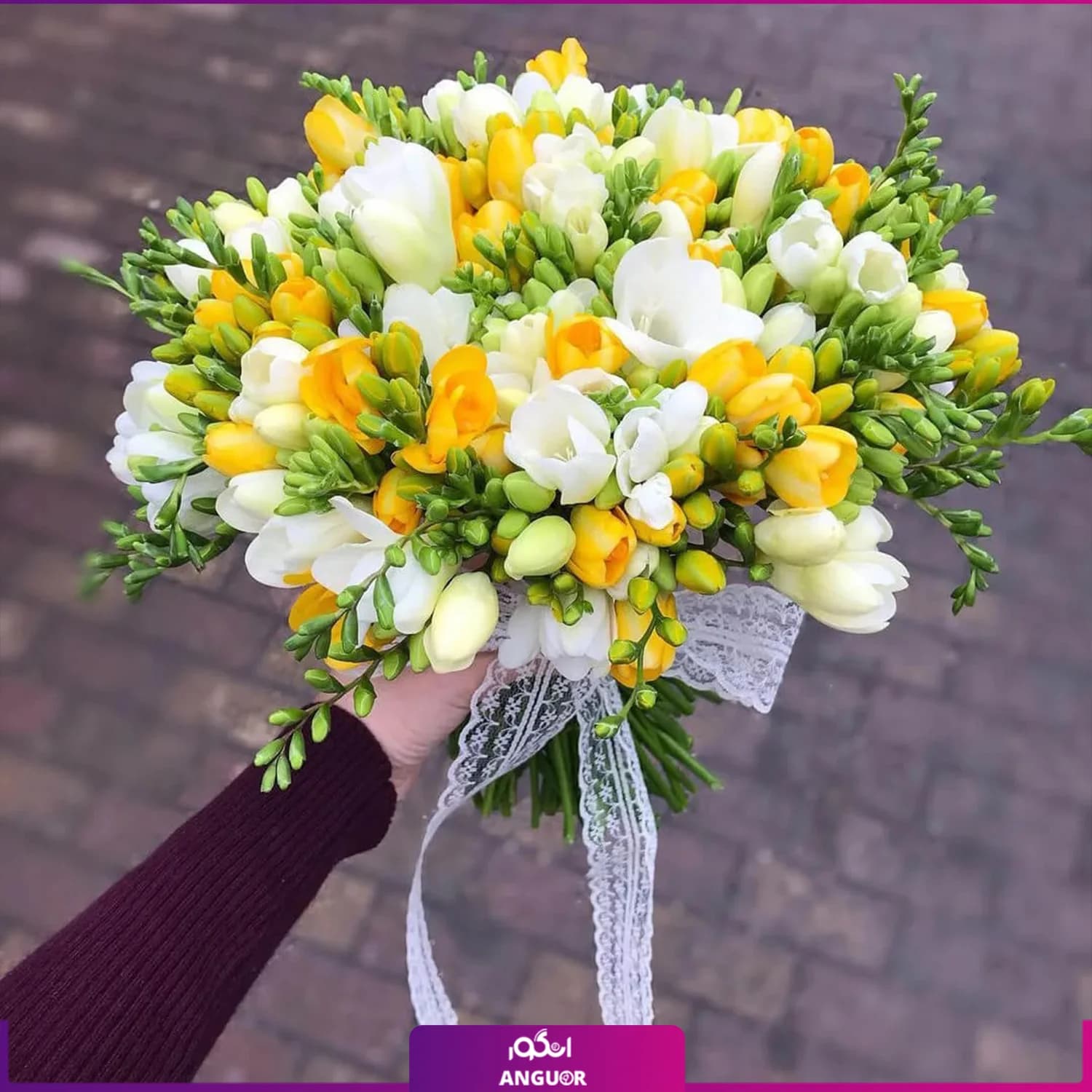 دسته گل فرزیا 45 شاخه ای (زرد – سفید)