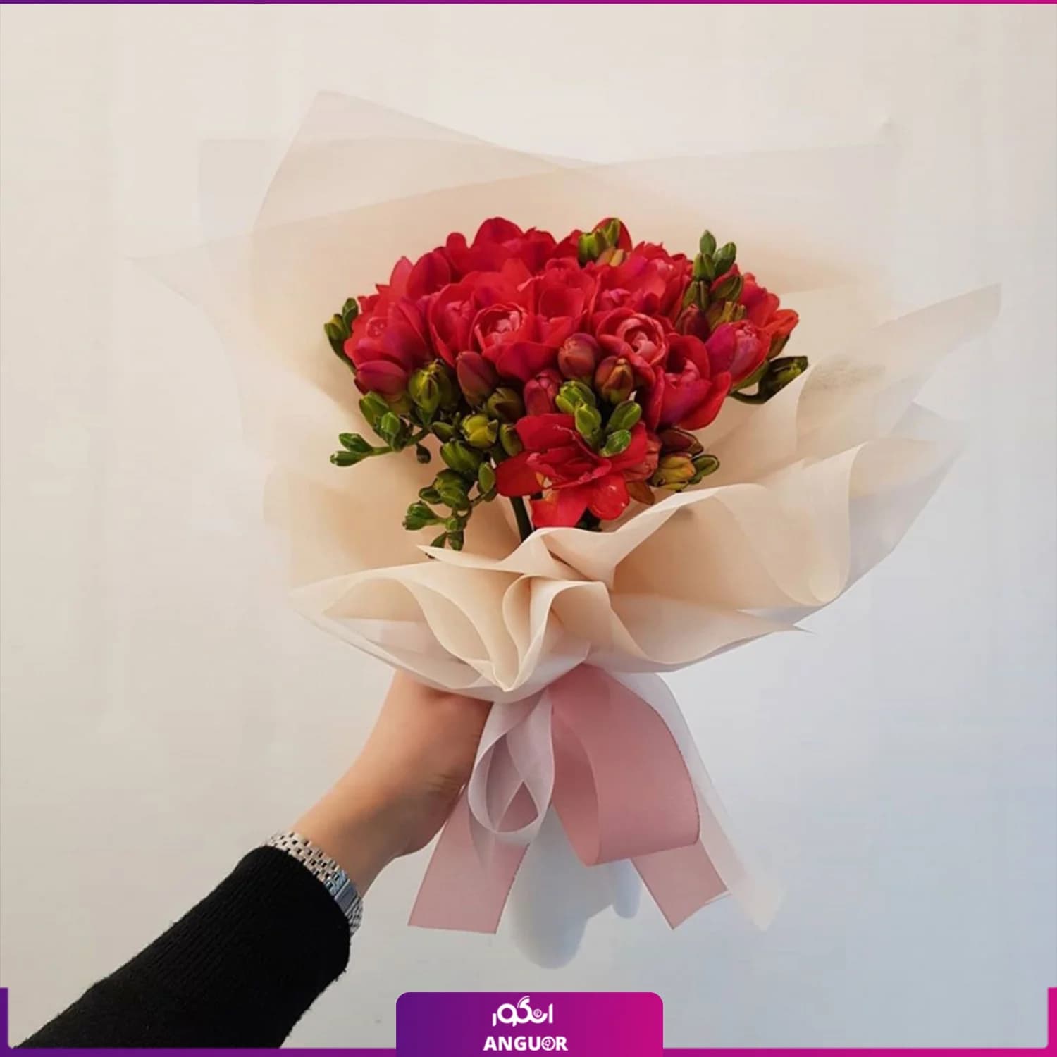 دسته گل فرزیا قرمز 13 شاخه