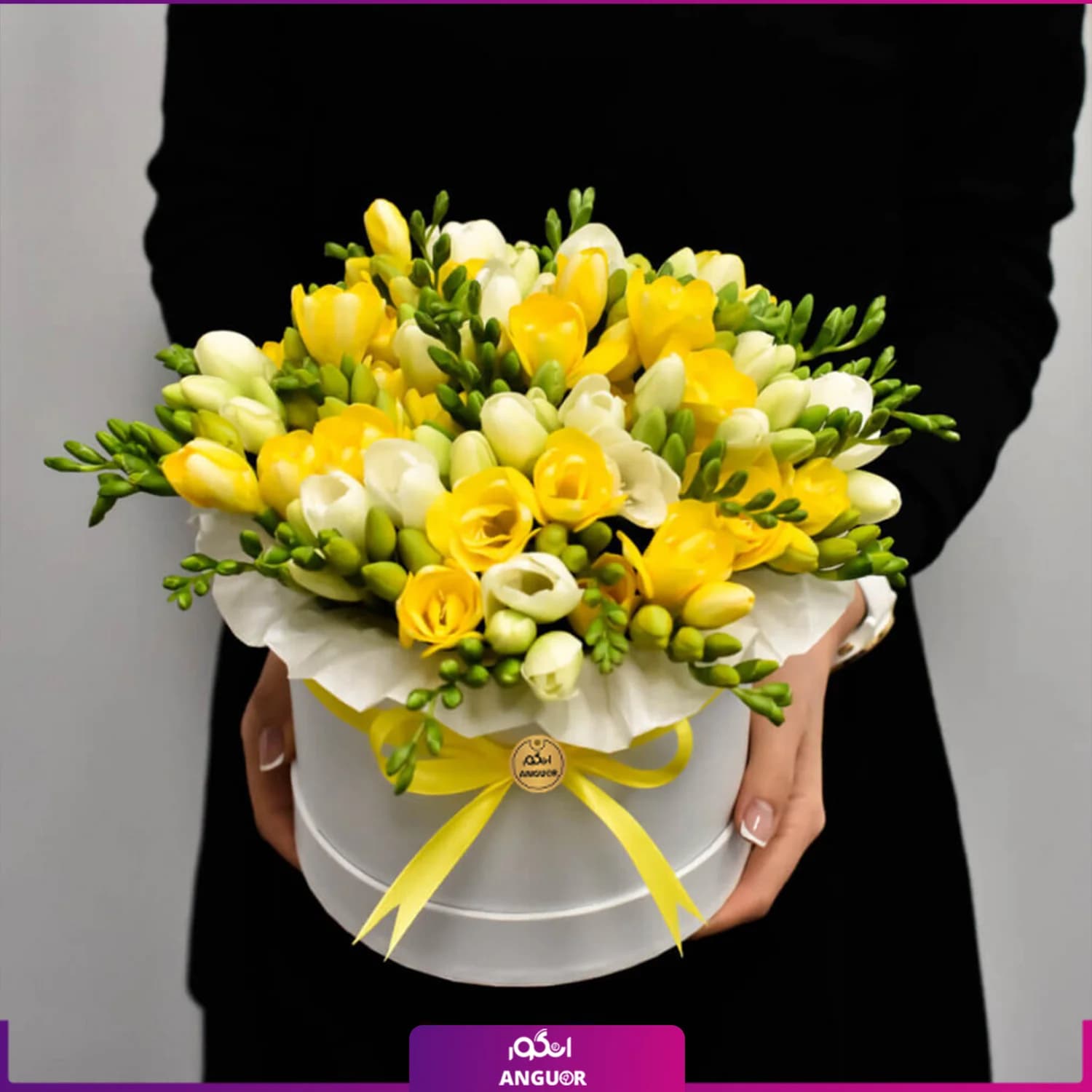 باکس گل فرزیا 25 شاخه ای (سفید – زرد)