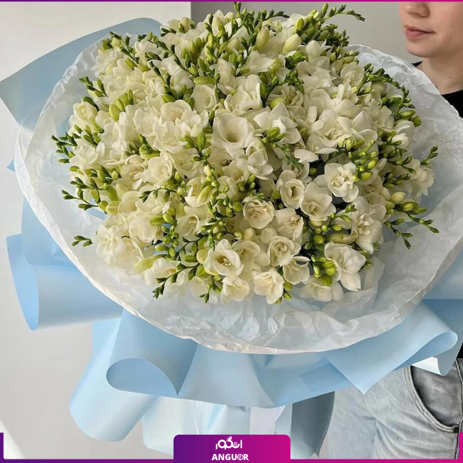 دسته گل فرزیا سفید 58 شاخه