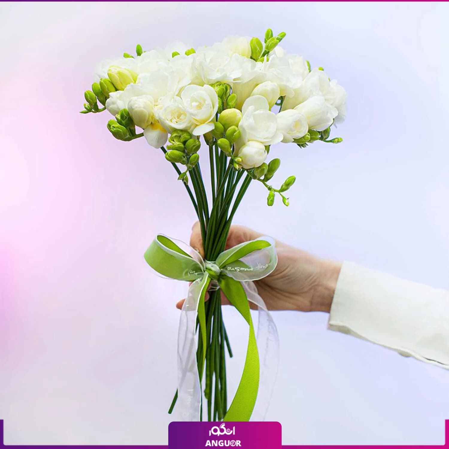 دسته گل فرزیا 20 شاخه سفید