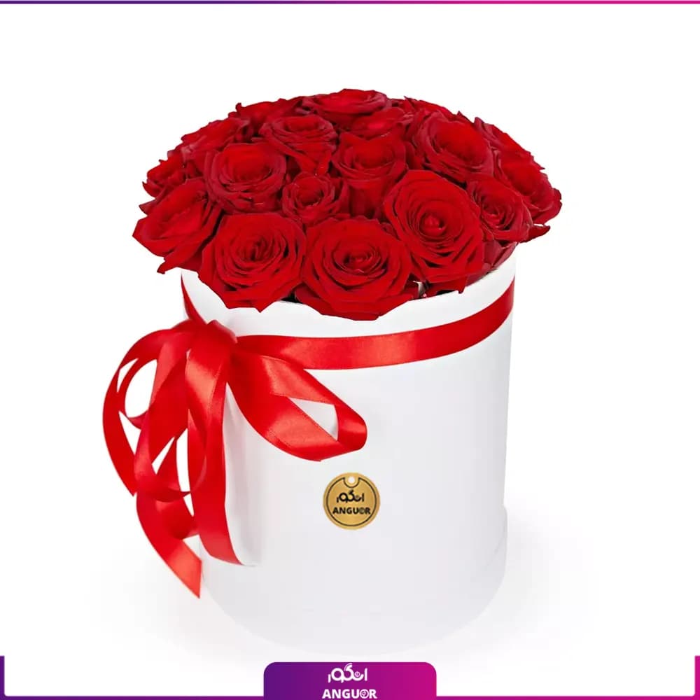 باکس گل رز 25 شاخه — تصویر ۴