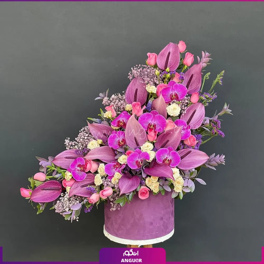 باکس گل رایا — تصویر ۴