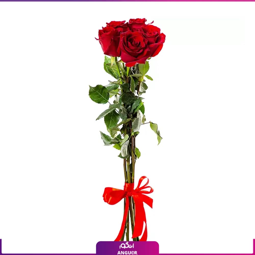 دسته گل رز قرمز 5 شاخه