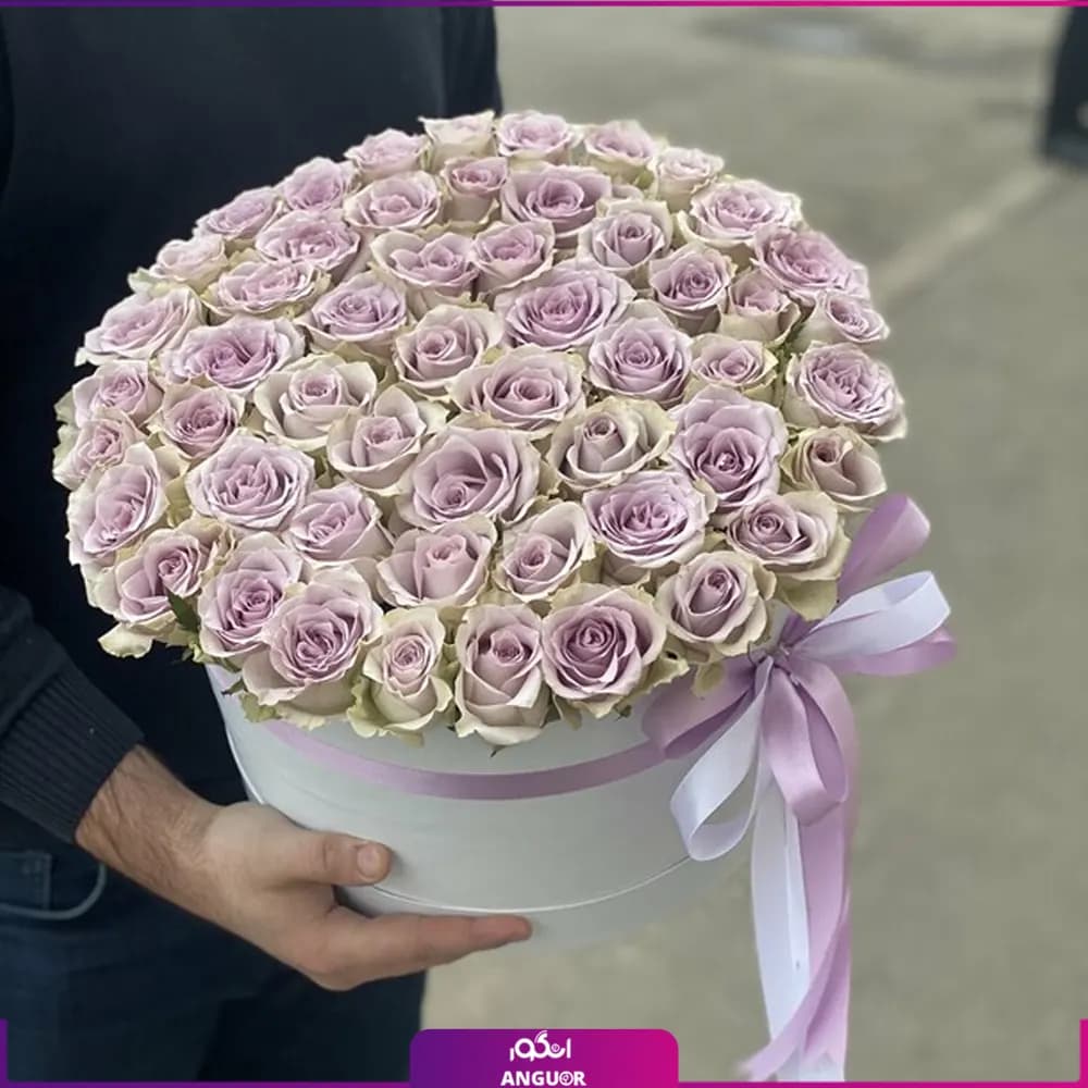 باکس گل رز بنفش 53 شاخه ای