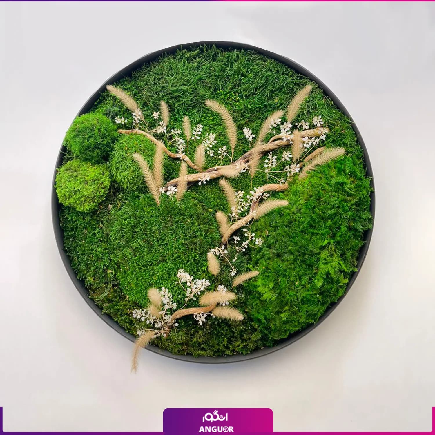 ماس وال گرد طرح زیبا — تصویر ۲